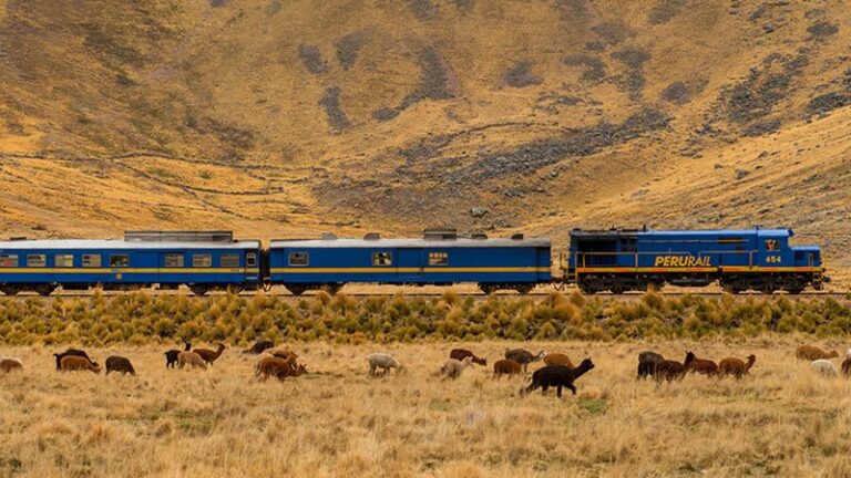 Tours with fixed dates perurail 05